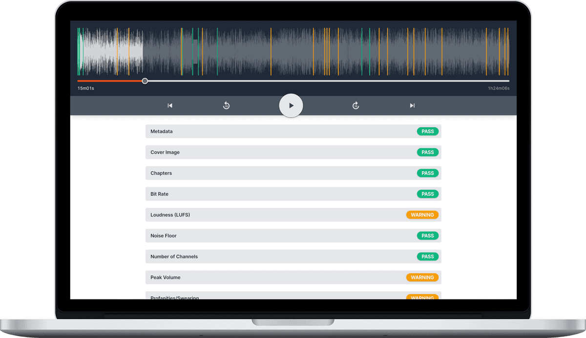 Screenshot of an Audio Audit report