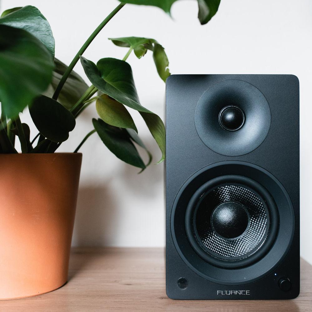 Bookshelf speaker next to a plant