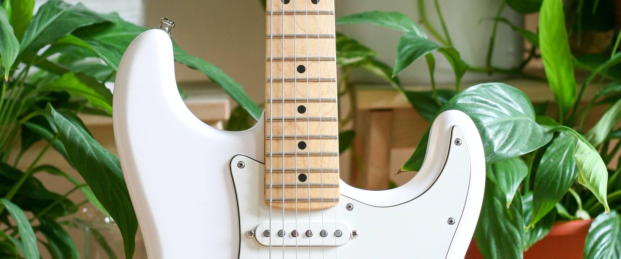 Guitar surrounded by plants